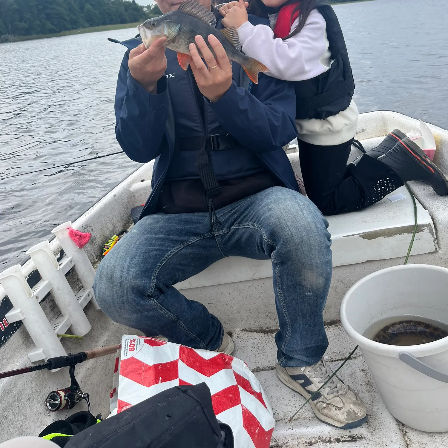 European perch caught on Fishbrain