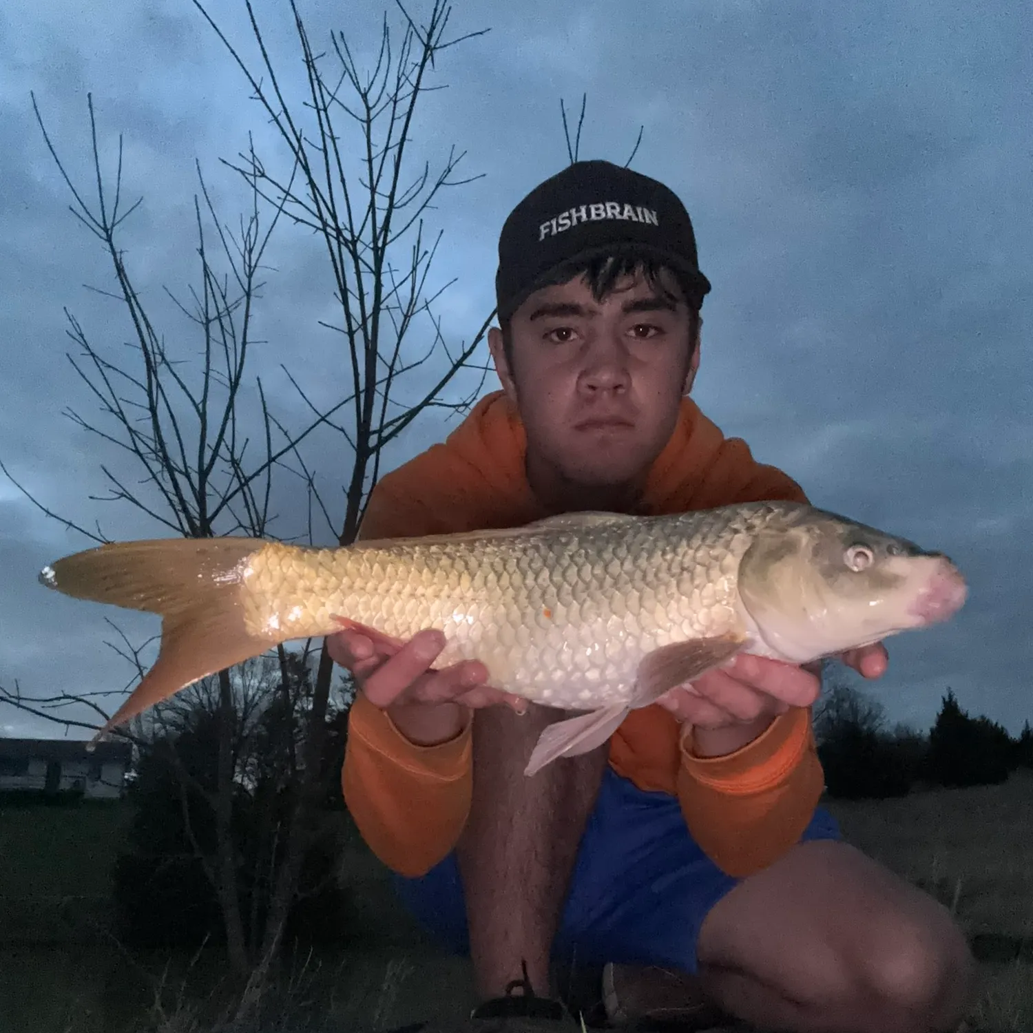 The most recent Ghost carp catches on Fishbrain