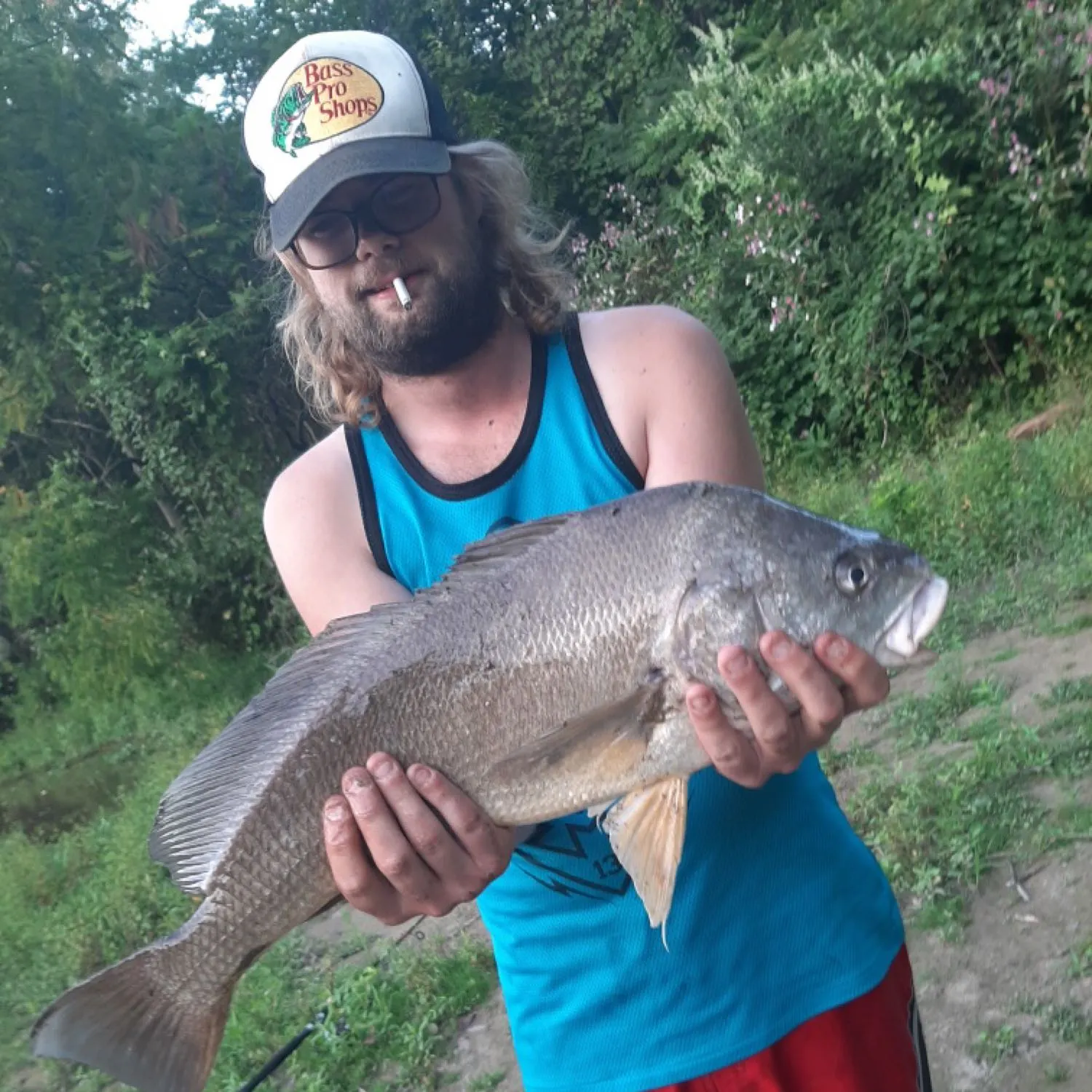 angler catch