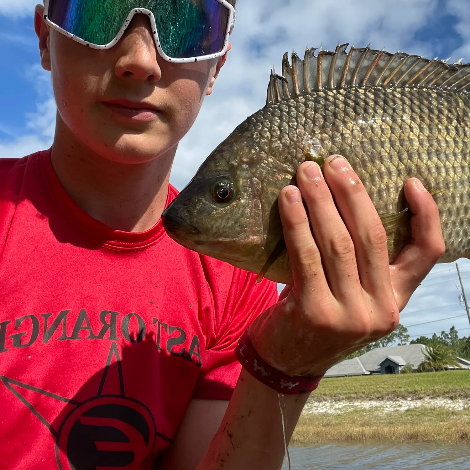 The most recent Blue tilapia catches on Fishbrain