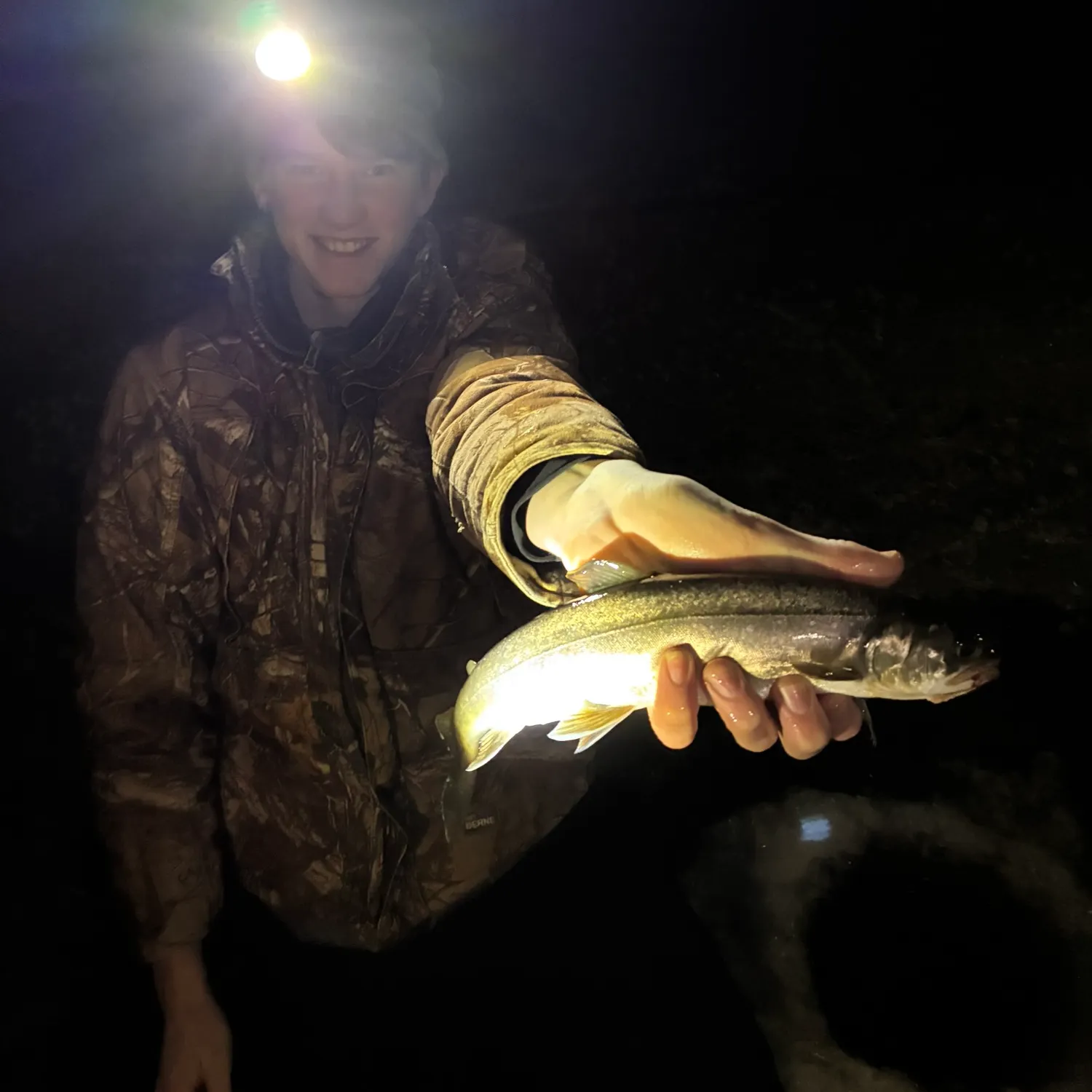 The most recent Arctic char catches on Fishbrain