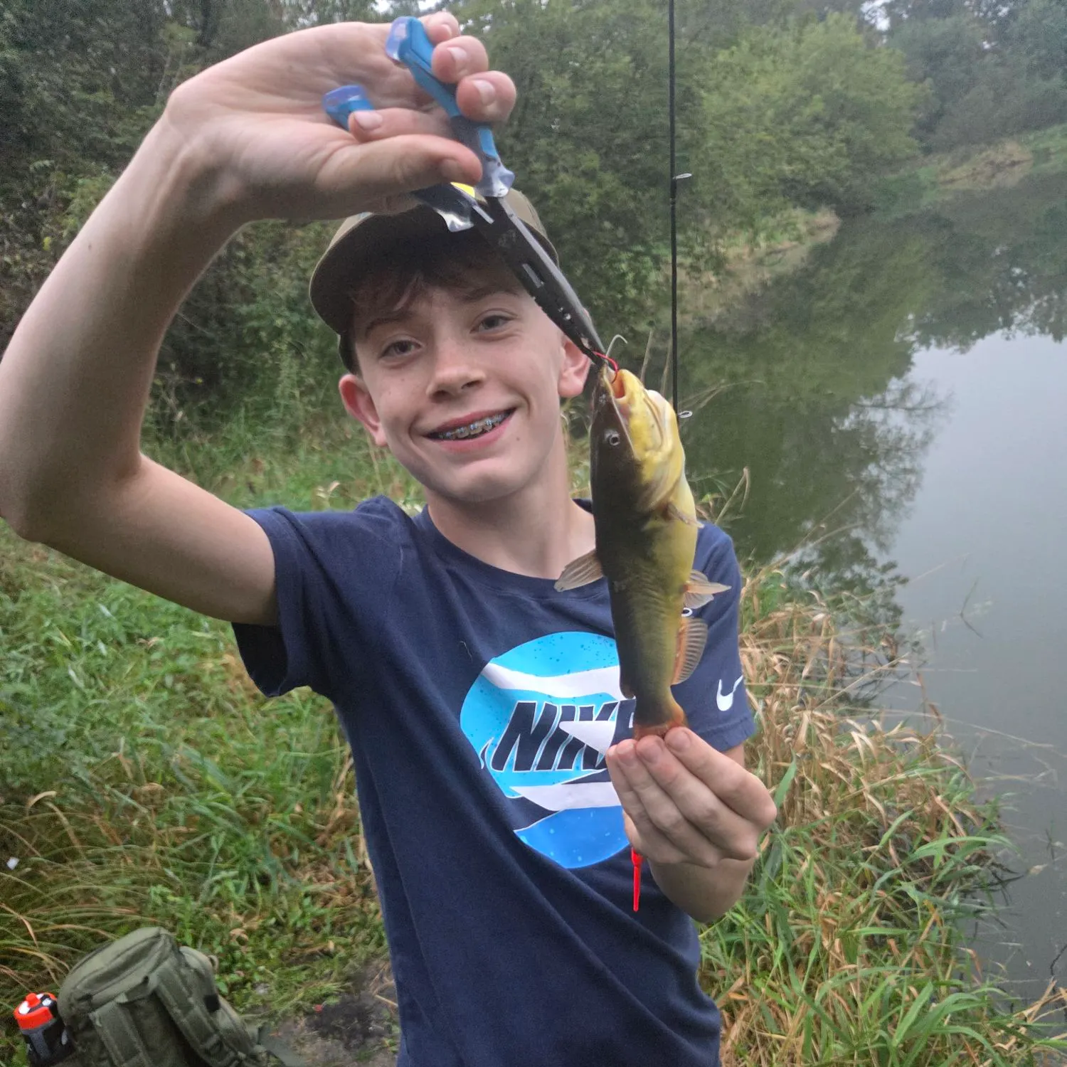Yellow bullhead caught on Fishbrain
