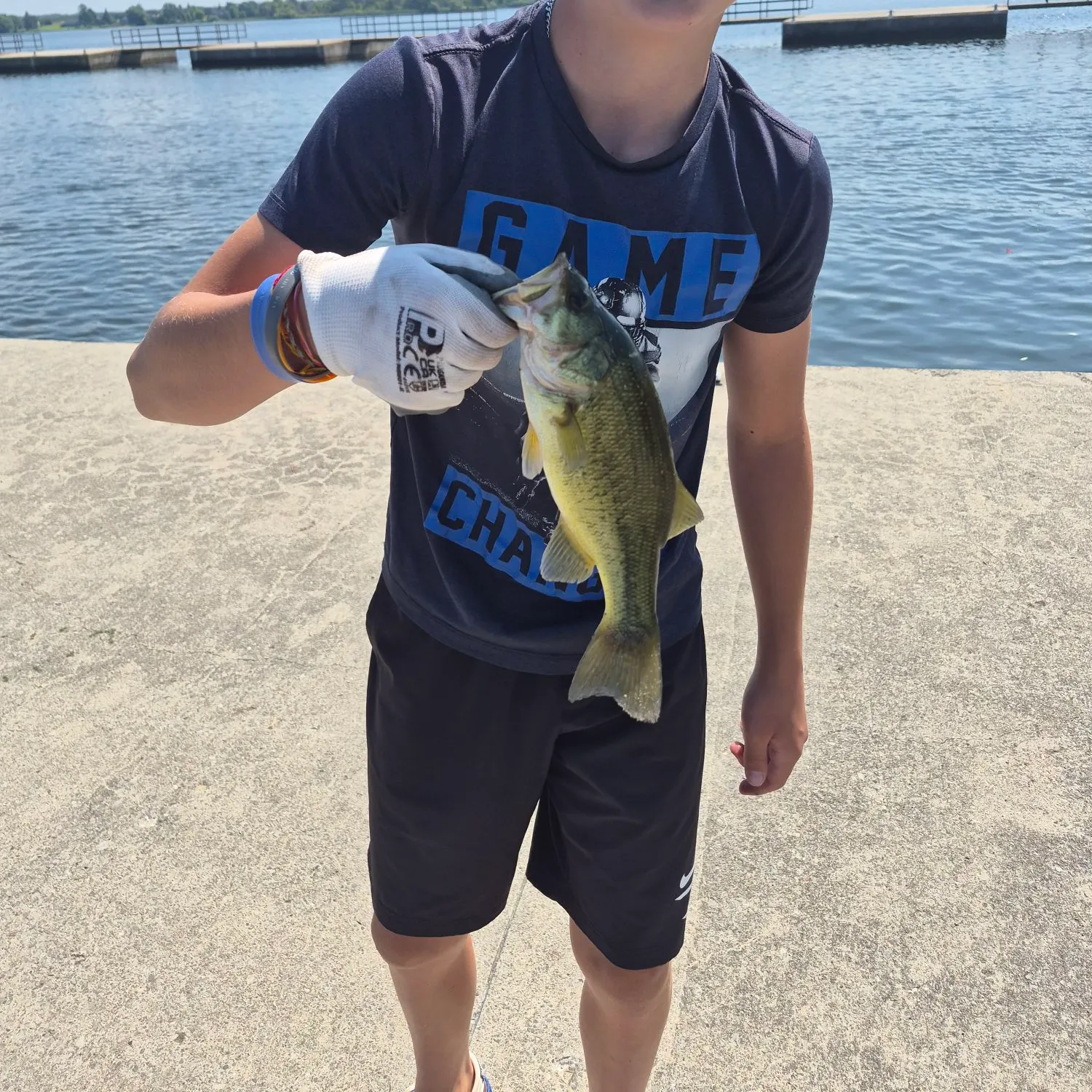 Smallmouth bass caught on Fishbrain