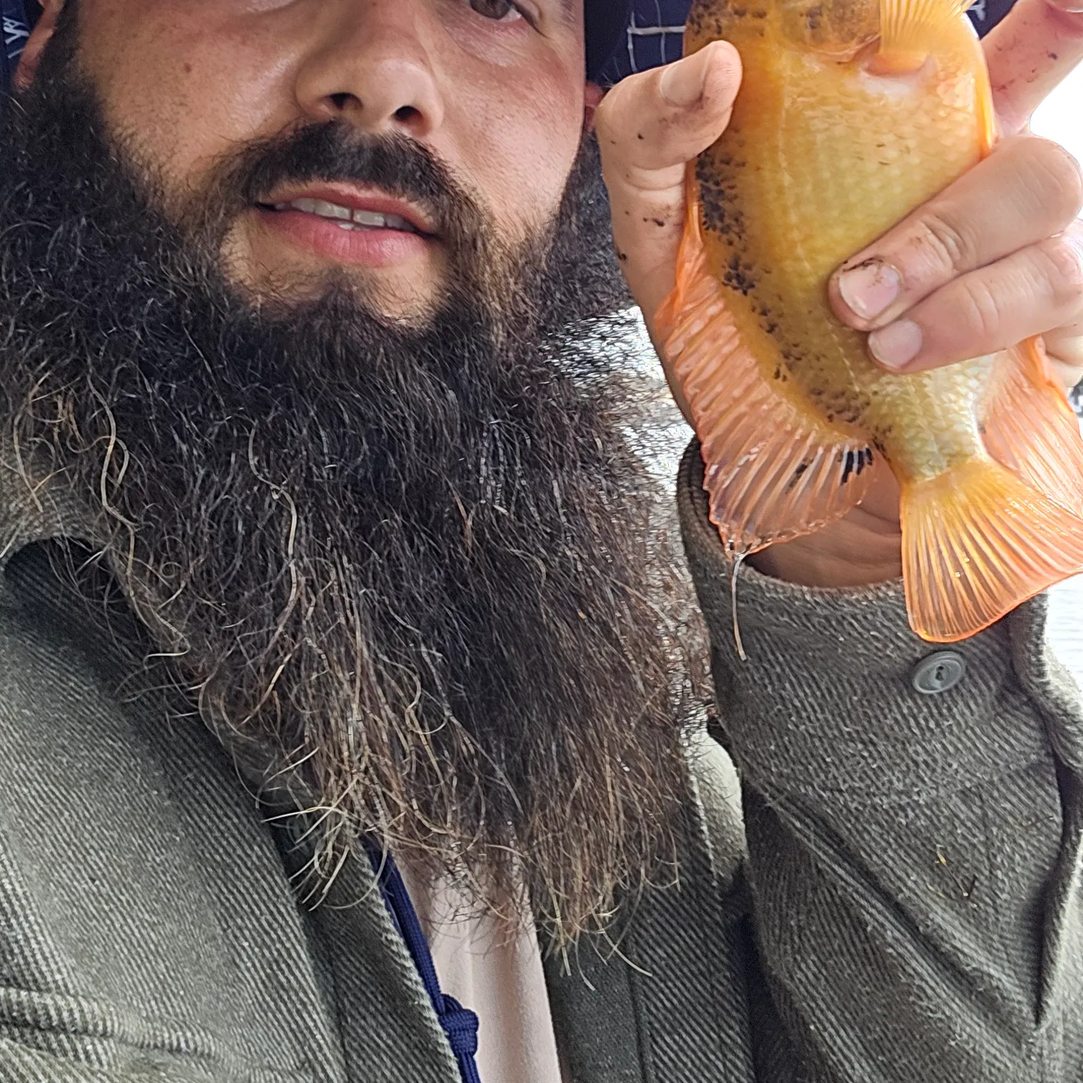 most liked catch image