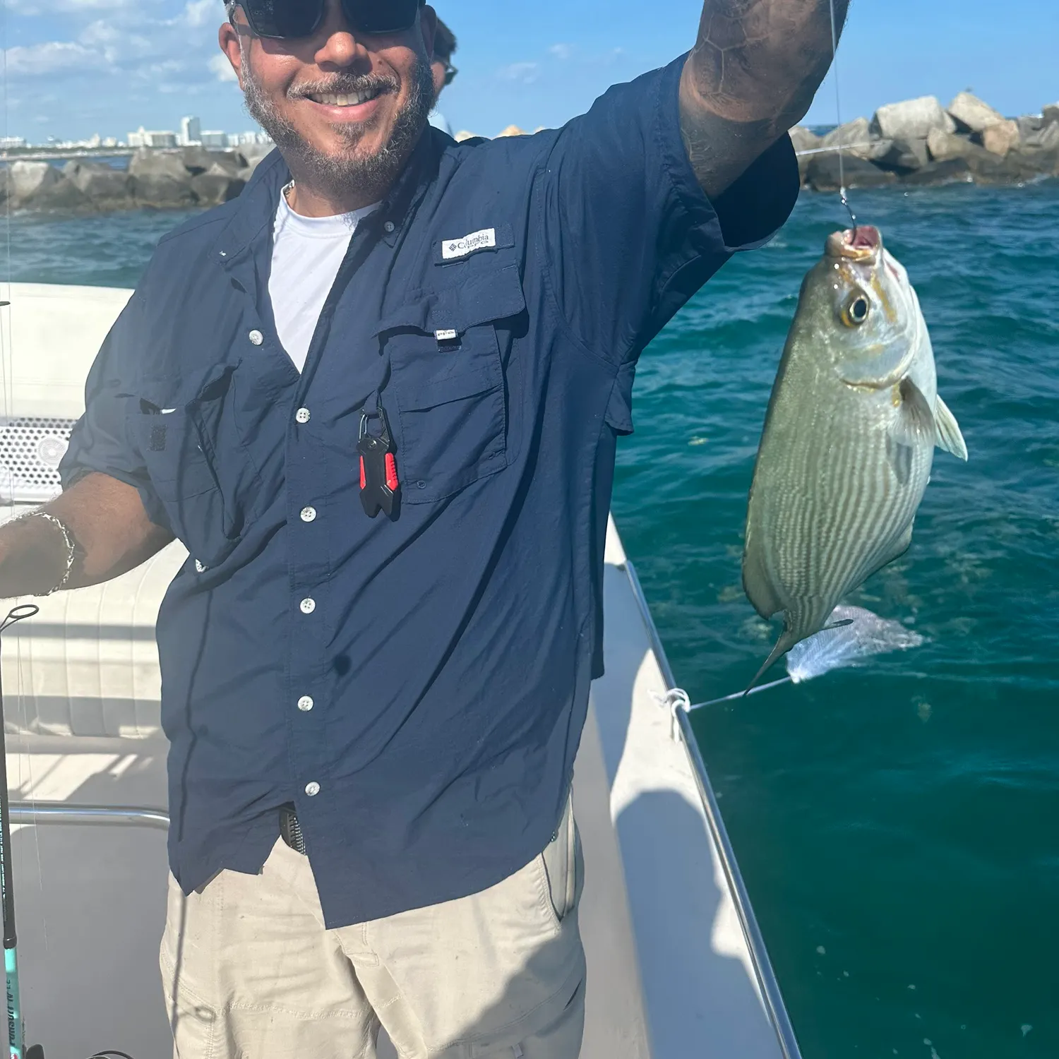 The most recent Bermuda sea chub catches on Fishbrain