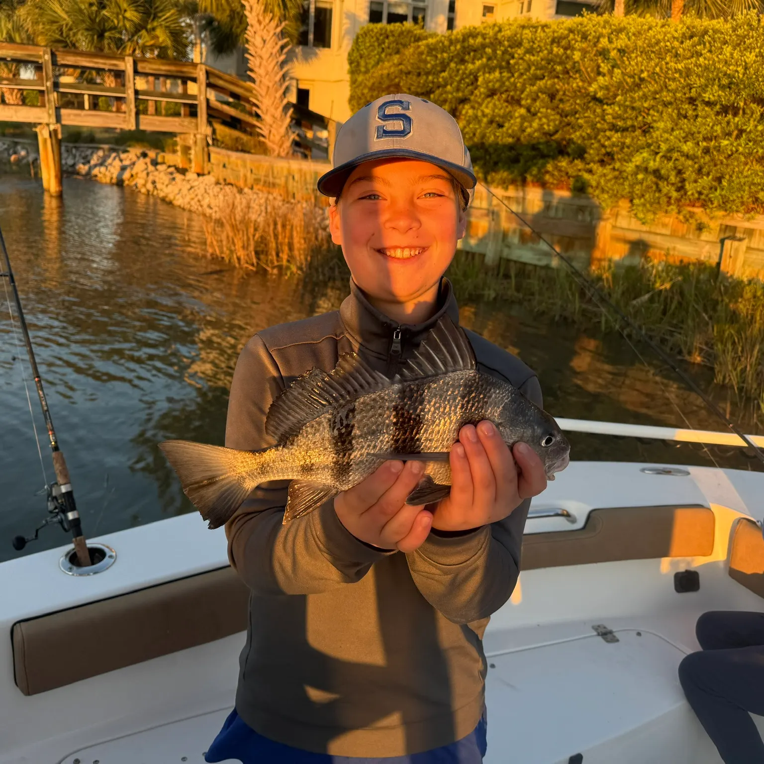 The most recent Pacific spadefish catches on Fishbrain
