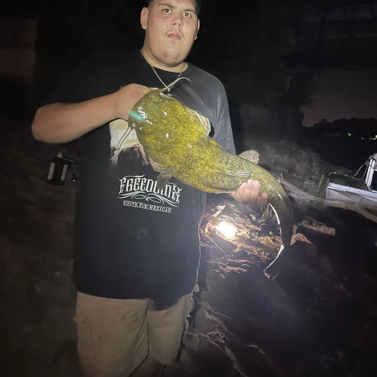 The most recent Flathead catfish catches on Fishbrain