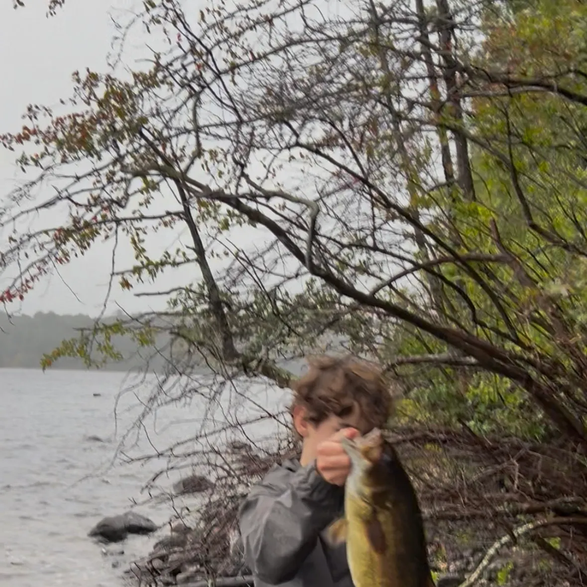 Smallmouth bass caught on Fishbrain