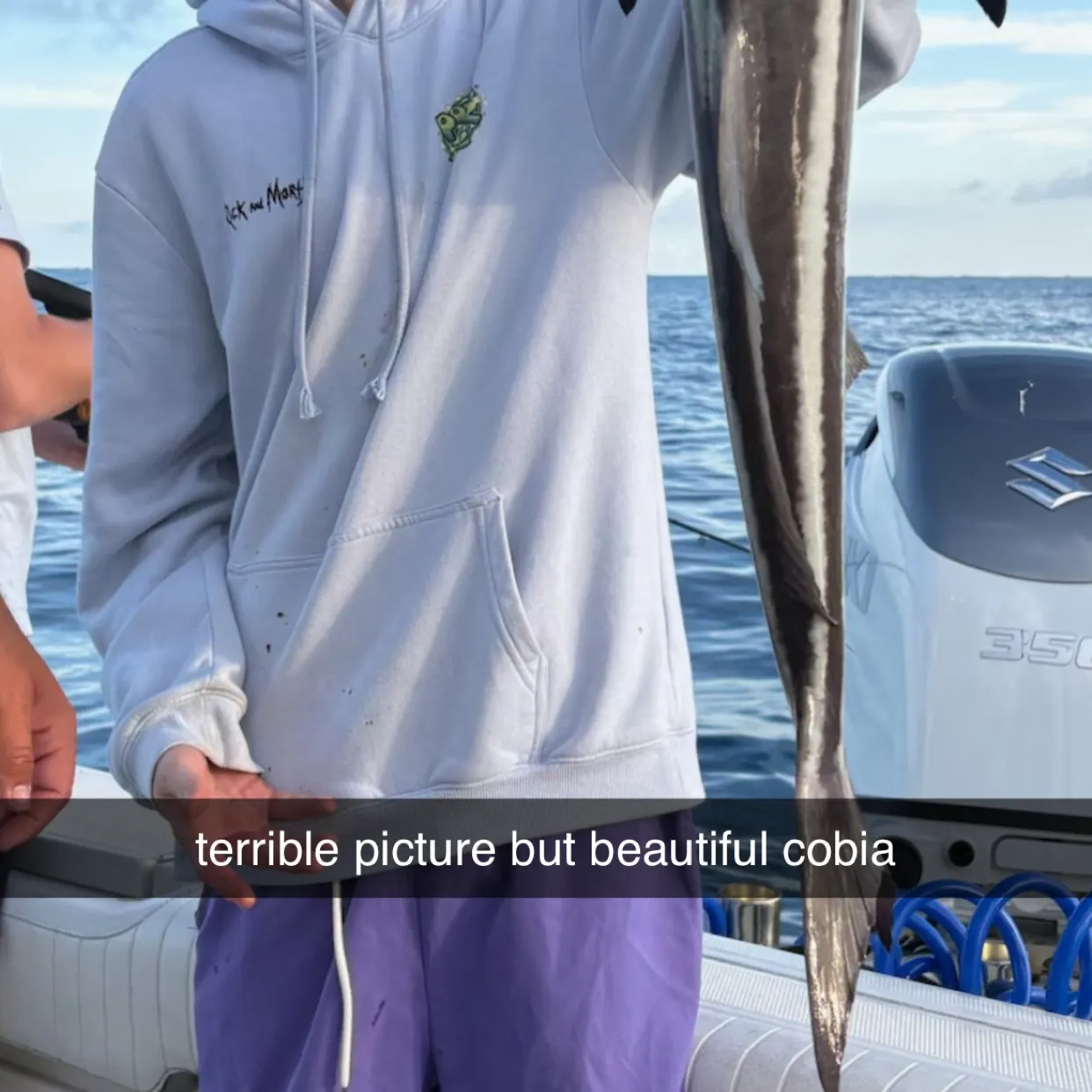 The most recent Cobia catches on Fishbrain