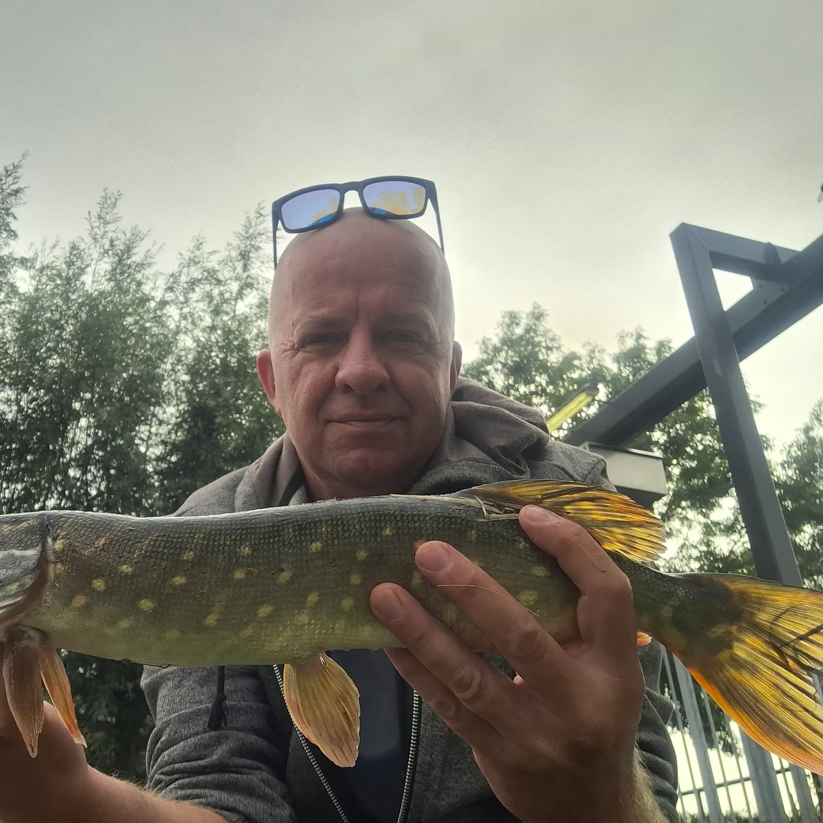 Northern pike caught on Fishbrain