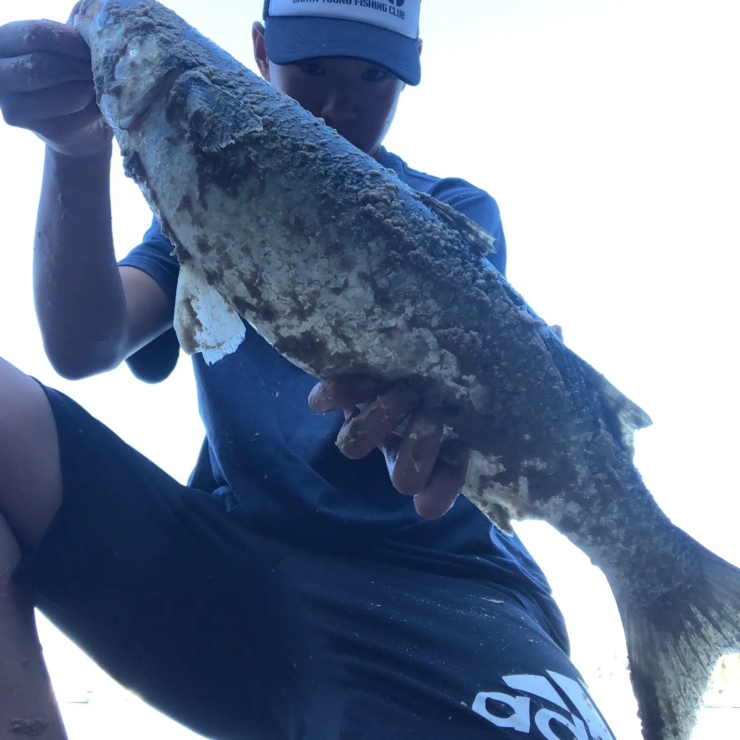 The most recent Largescale mullet catches on Fishbrain
