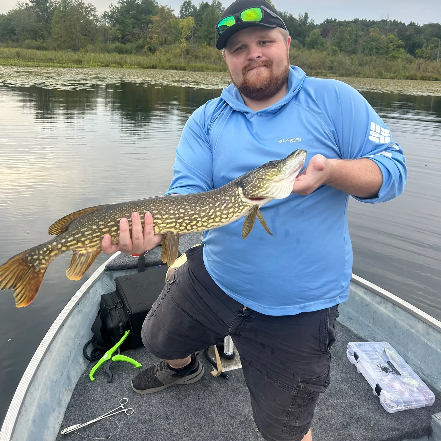 Northern pike caught on Fishbrain