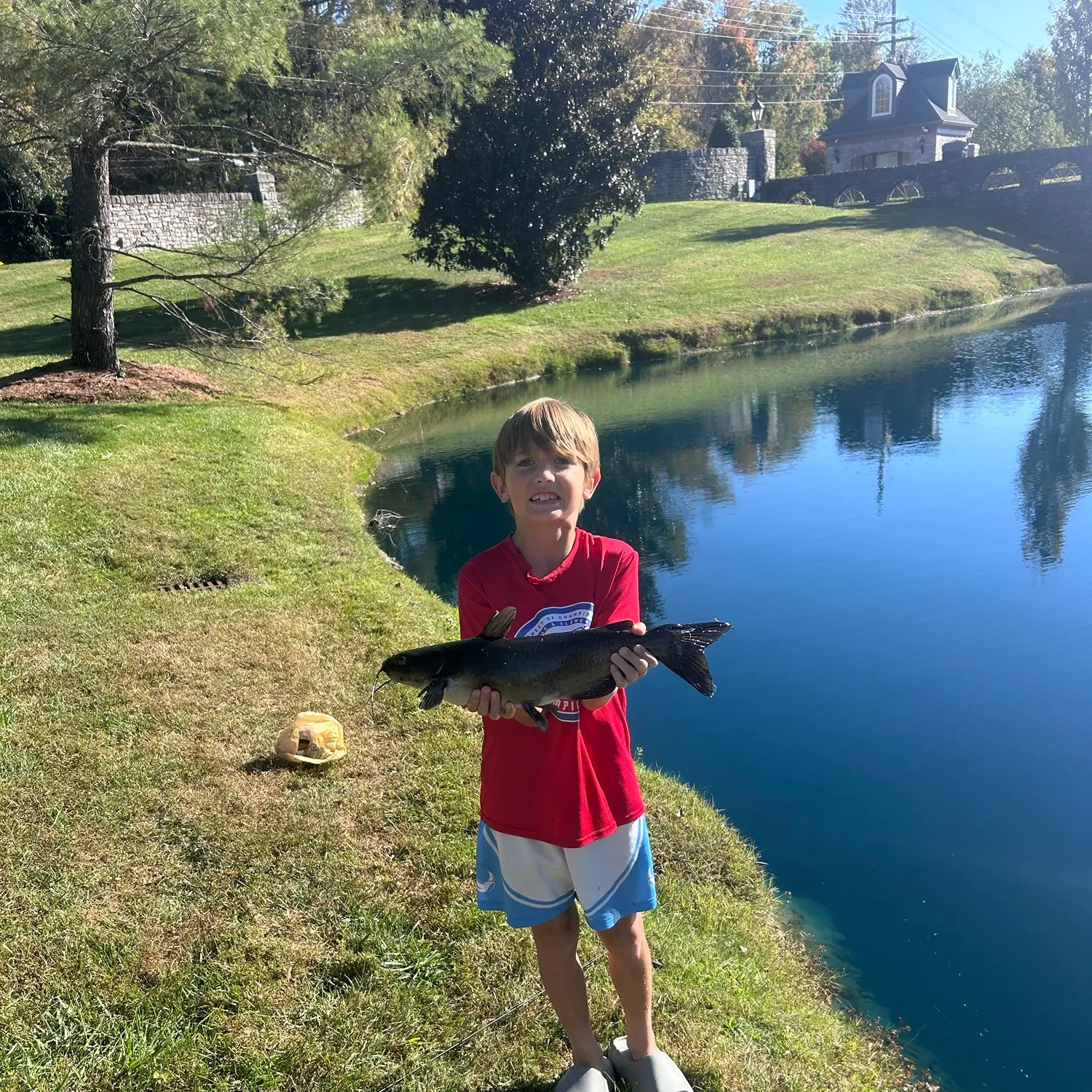 Channel catfish caught on Fishbrain