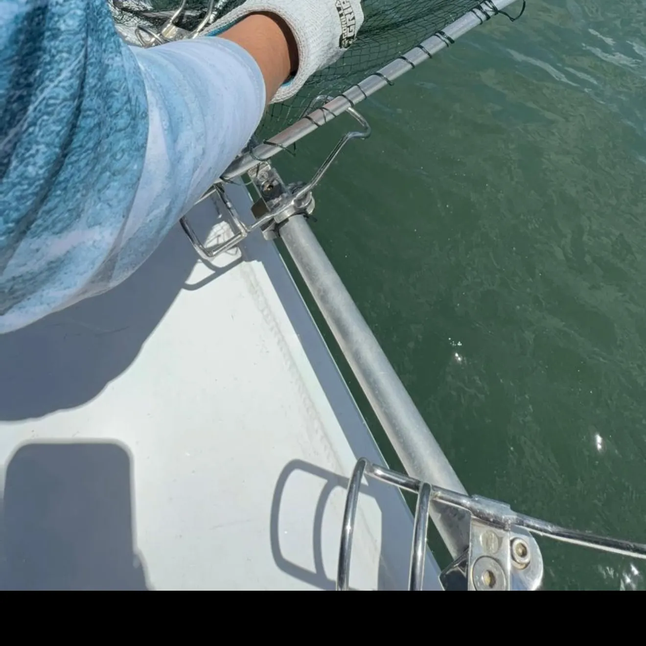 The most recent Smooth hammerhead shark catches on Fishbrain