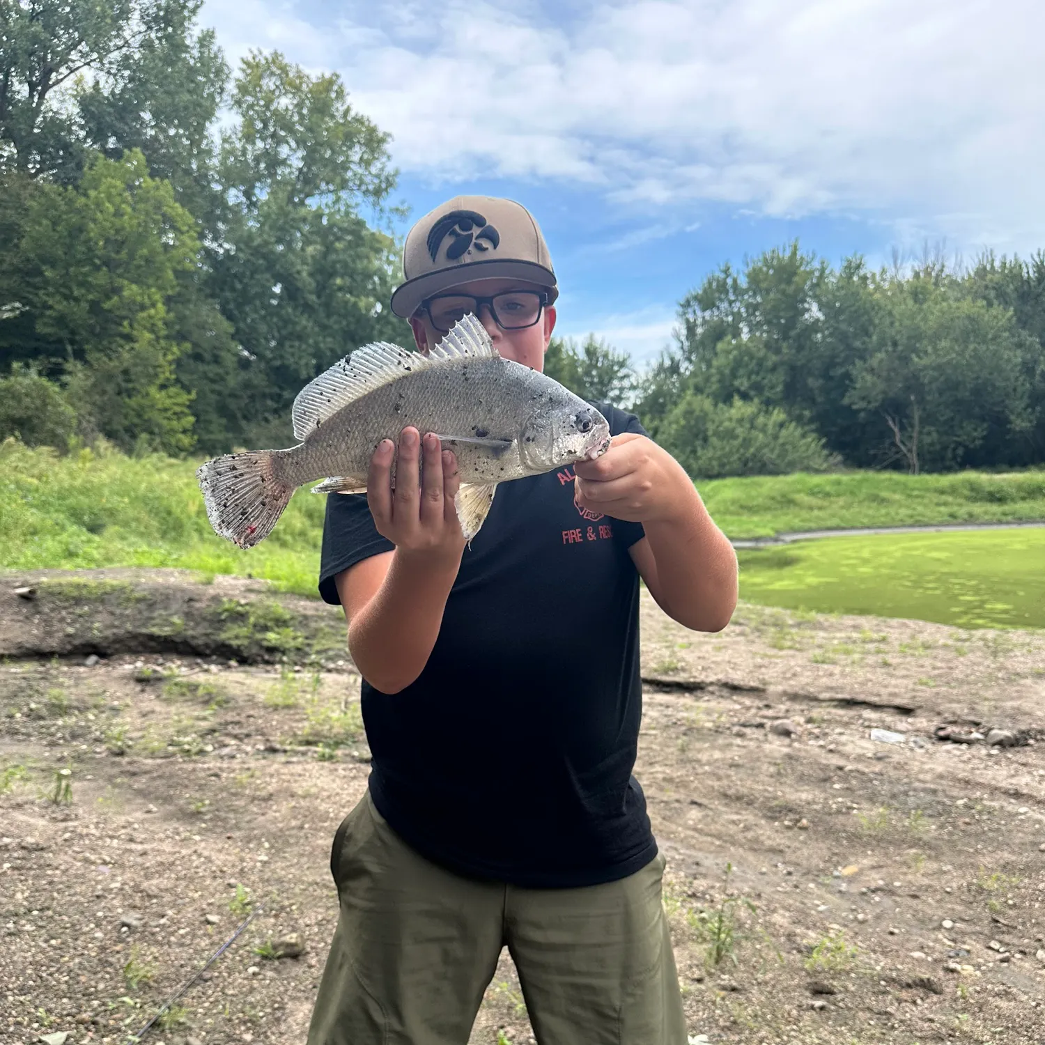 Freshwater drum caught on Fishbrain