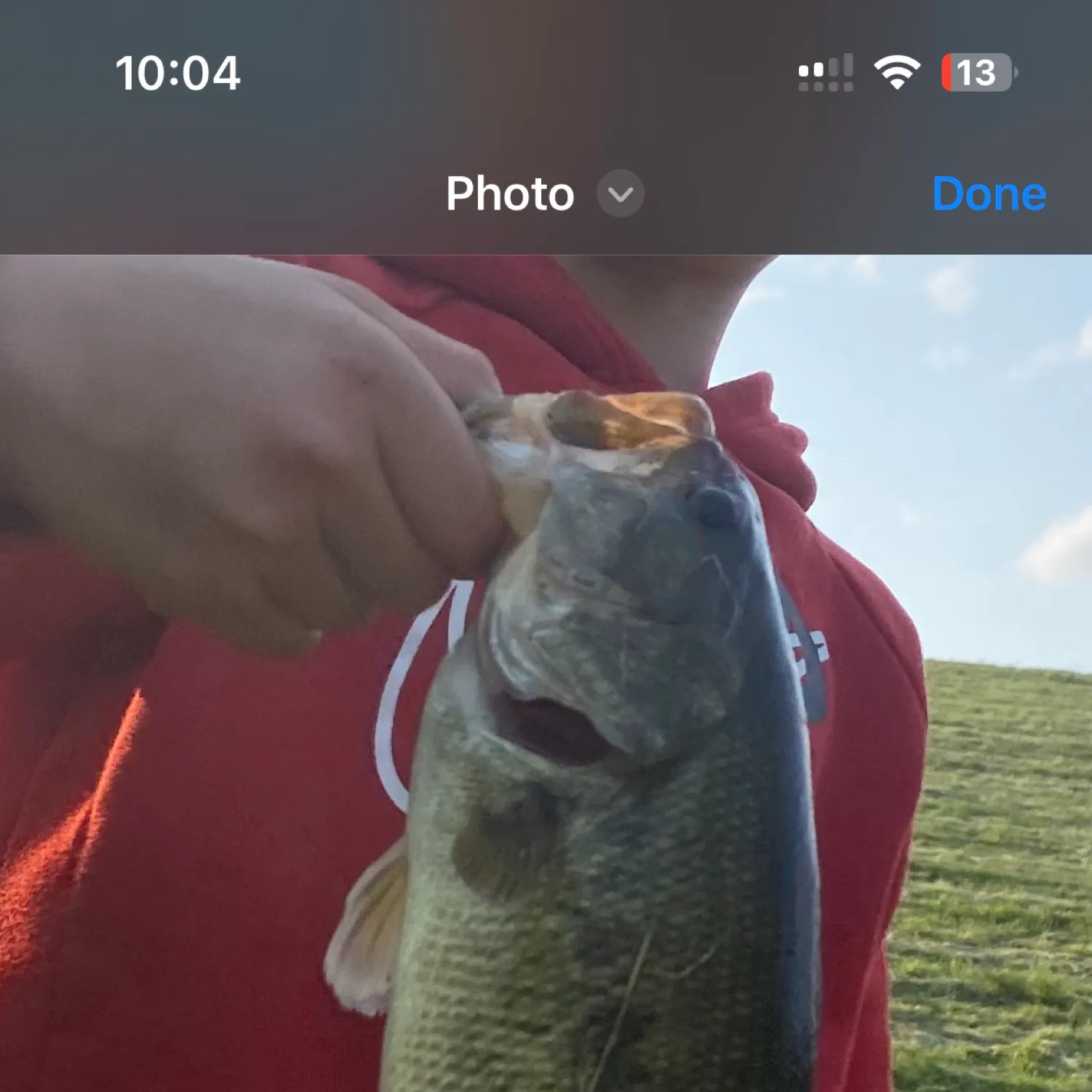 recently logged catches