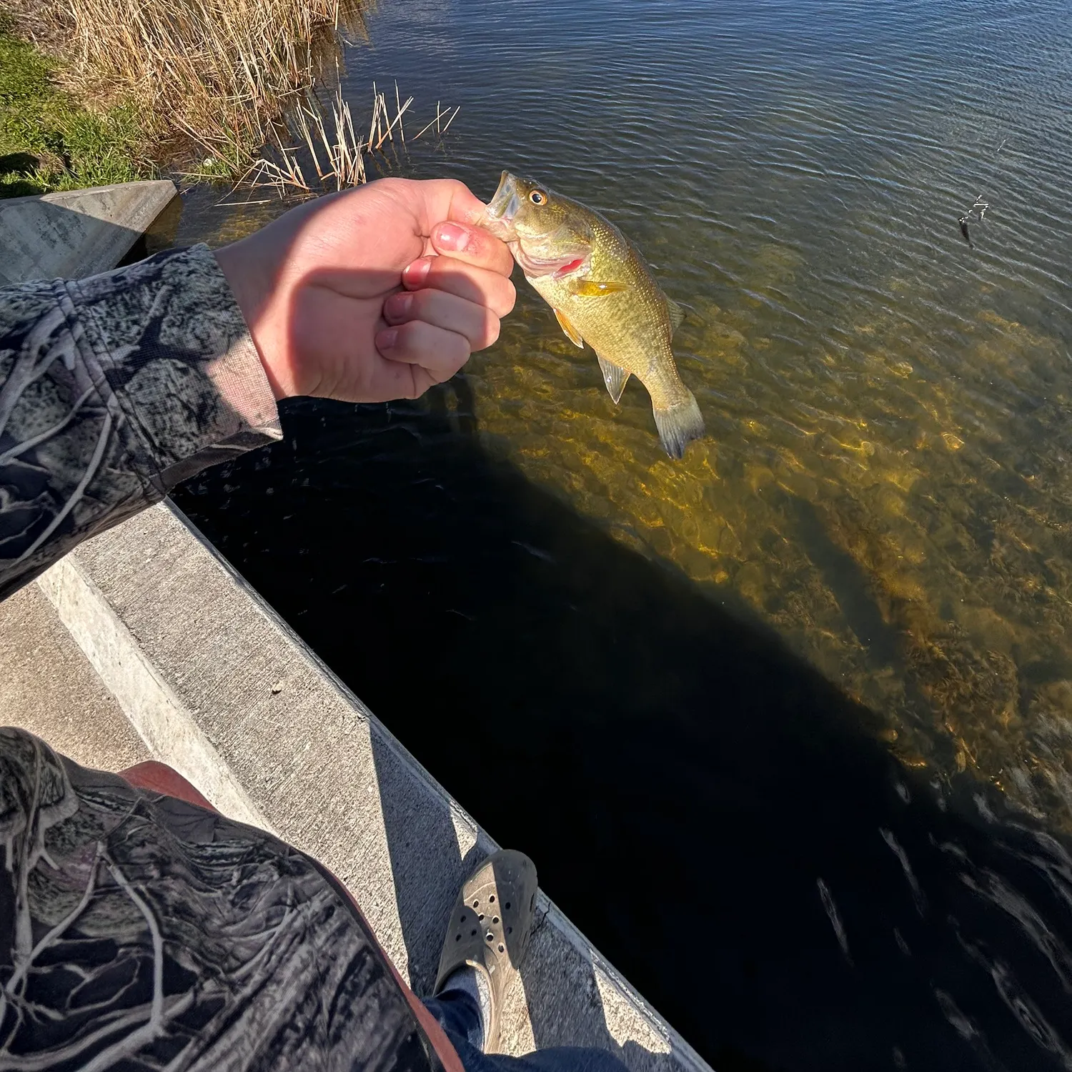catch