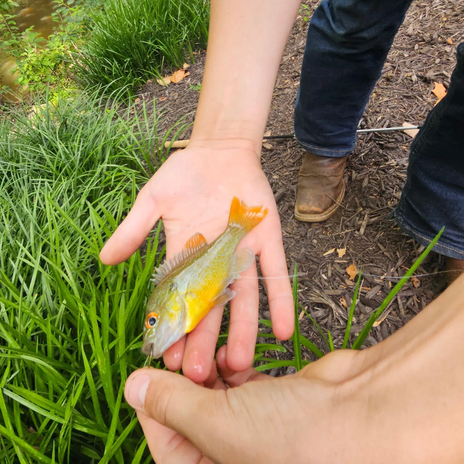 angler catch