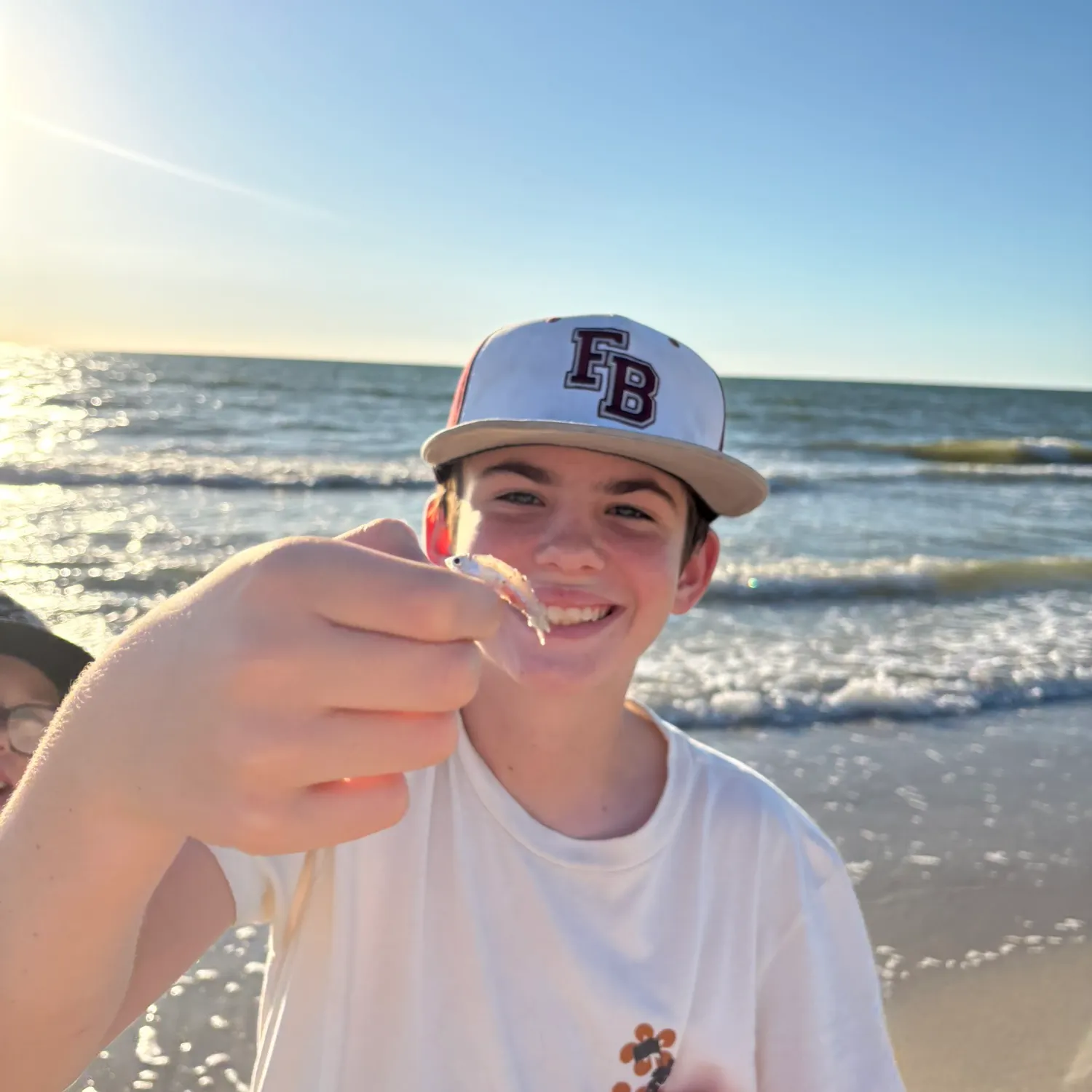 The most recent Great white shark catches on Fishbrain