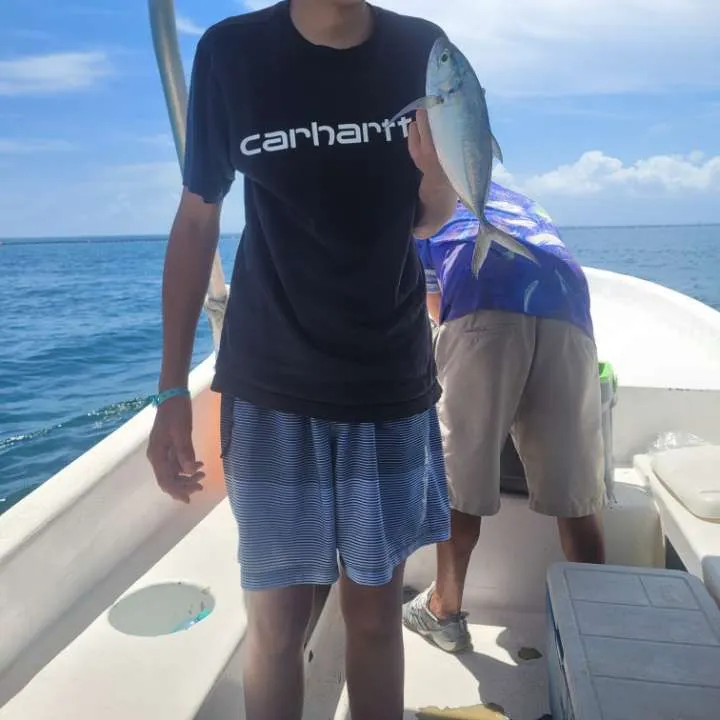 Blue runner caught on Fishbrain