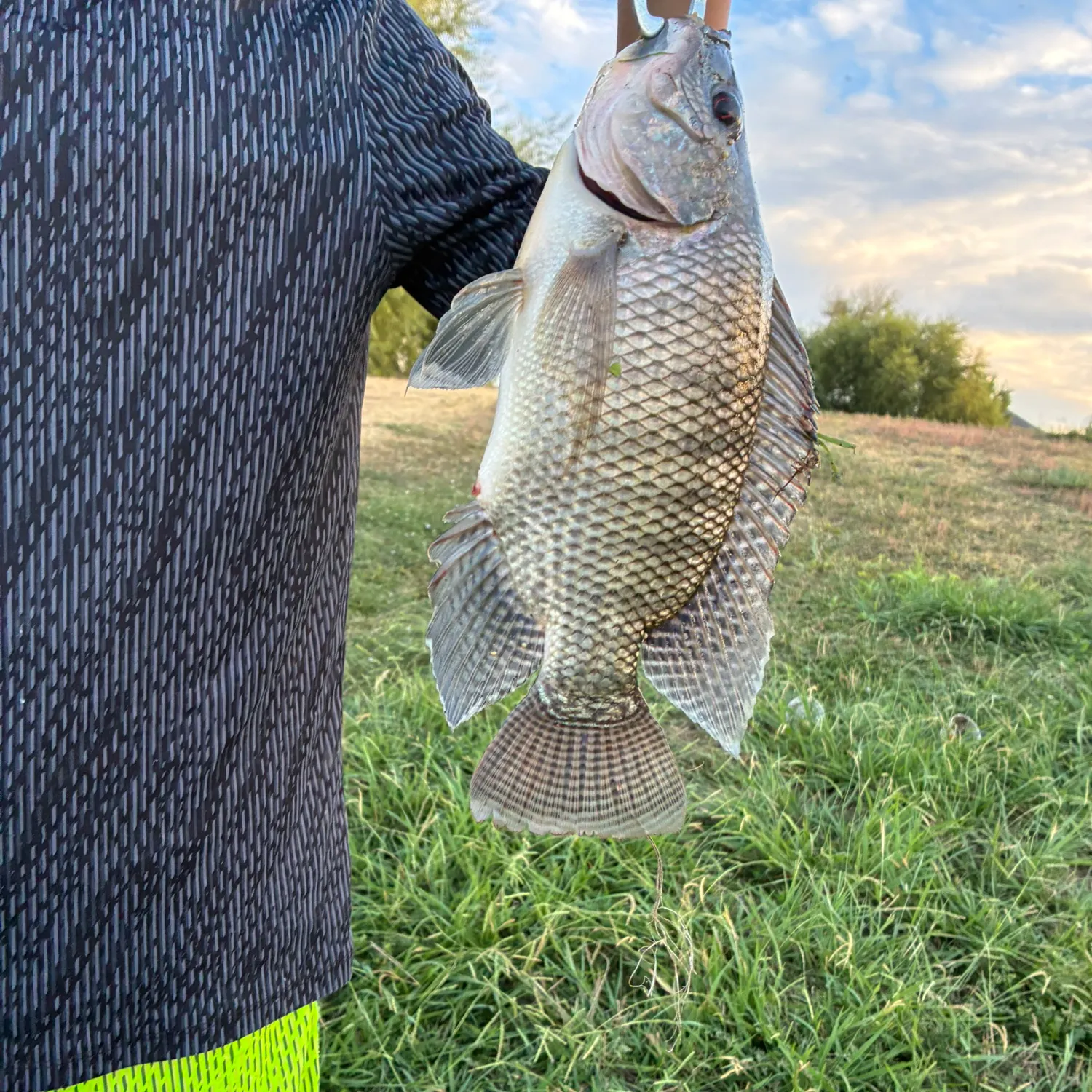 Fish caught on Fishbrain