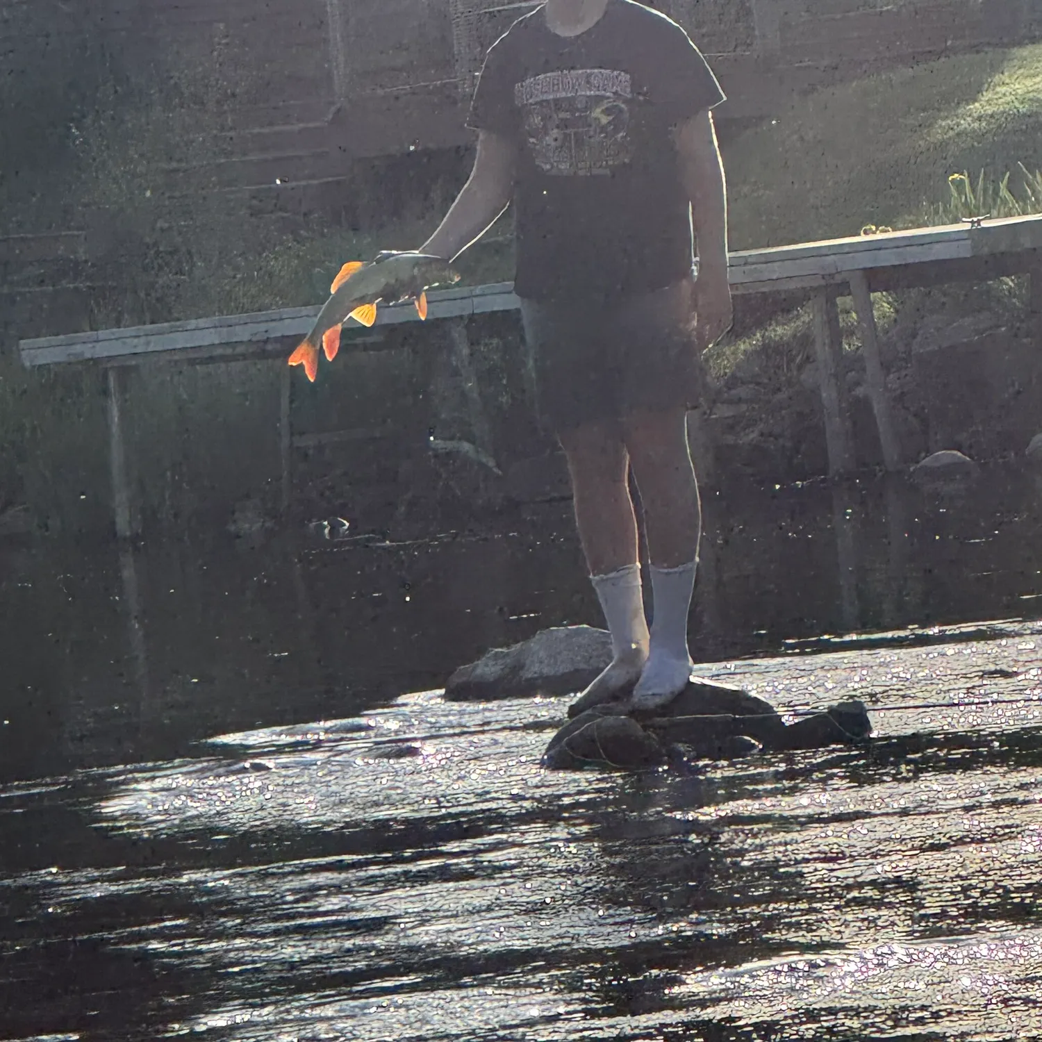 The most recent Greater redhorse catches on Fishbrain
