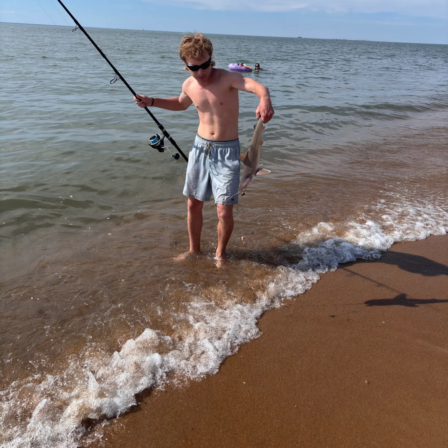 The most recent Sandbar shark catches on Fishbrain