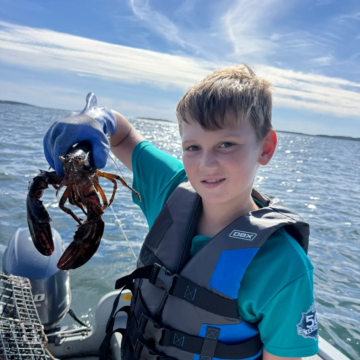 The most recent American lobster catches on Fishbrain