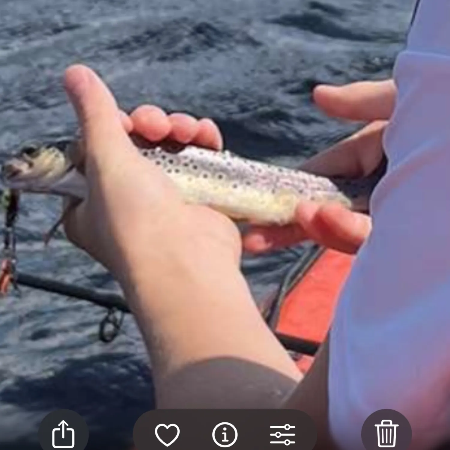 recently logged catches