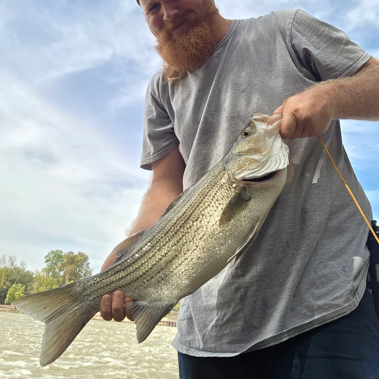 Wiper caught on Fishbrain