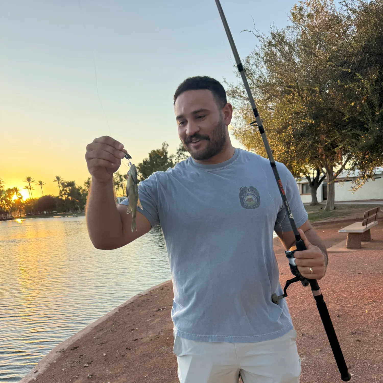Bluegill caught on Fishbrain
