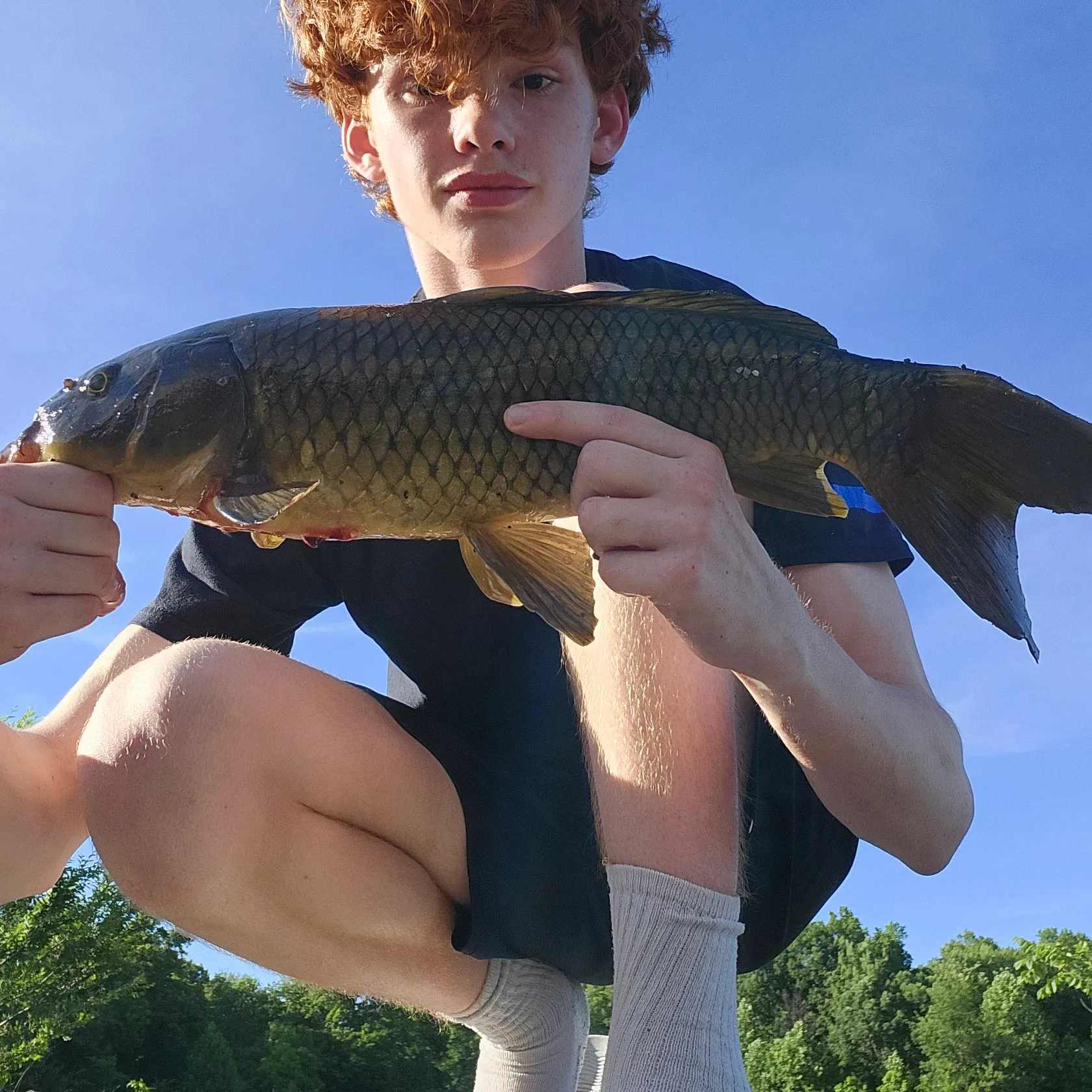 The most recent Common carp catches on Fishbrain