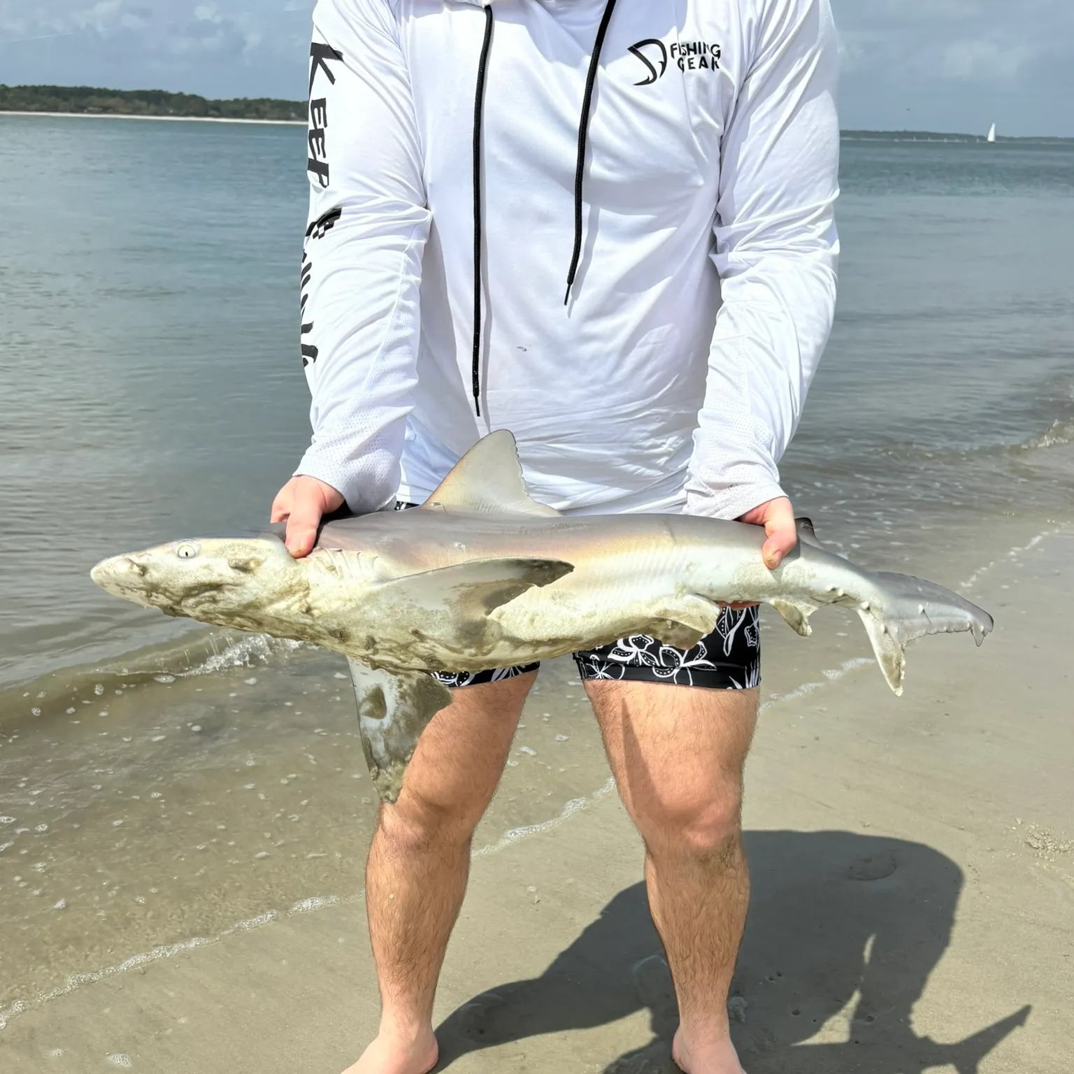 The most recent Atlantic sharpnose shark catches on Fishbrain