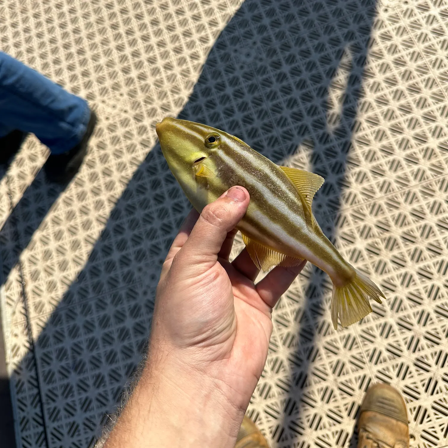 catch