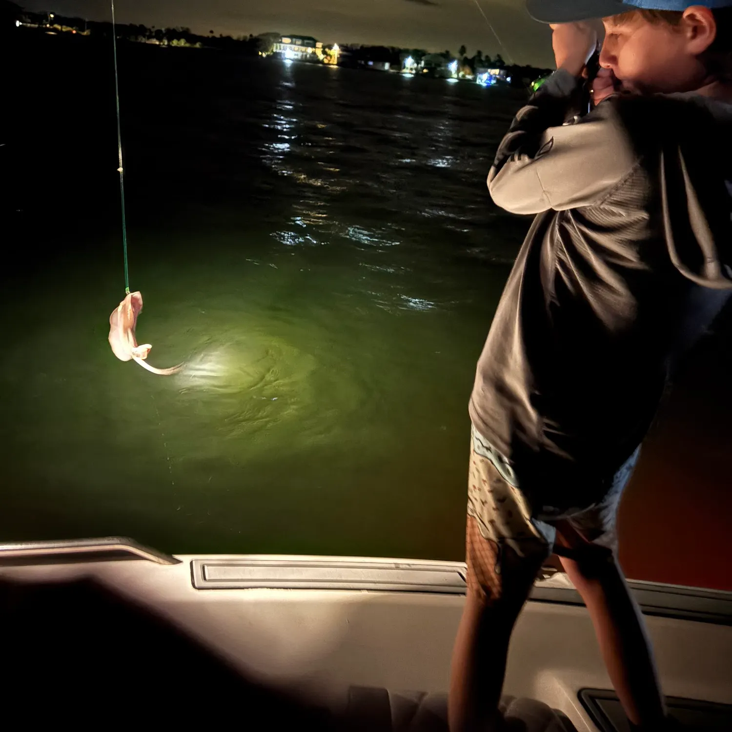 The most recent Common stingaree catches on Fishbrain