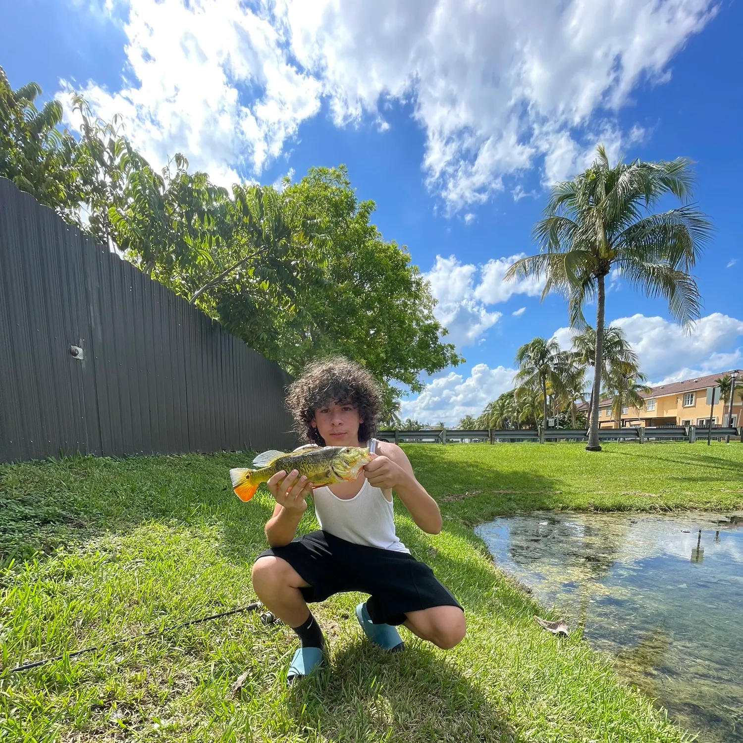 Butterfly peacock bass caught on Fishbrain