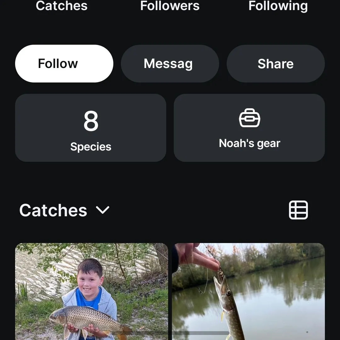 recently logged catches
