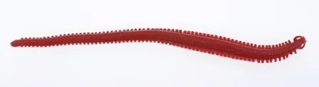 Alive! Sandworm