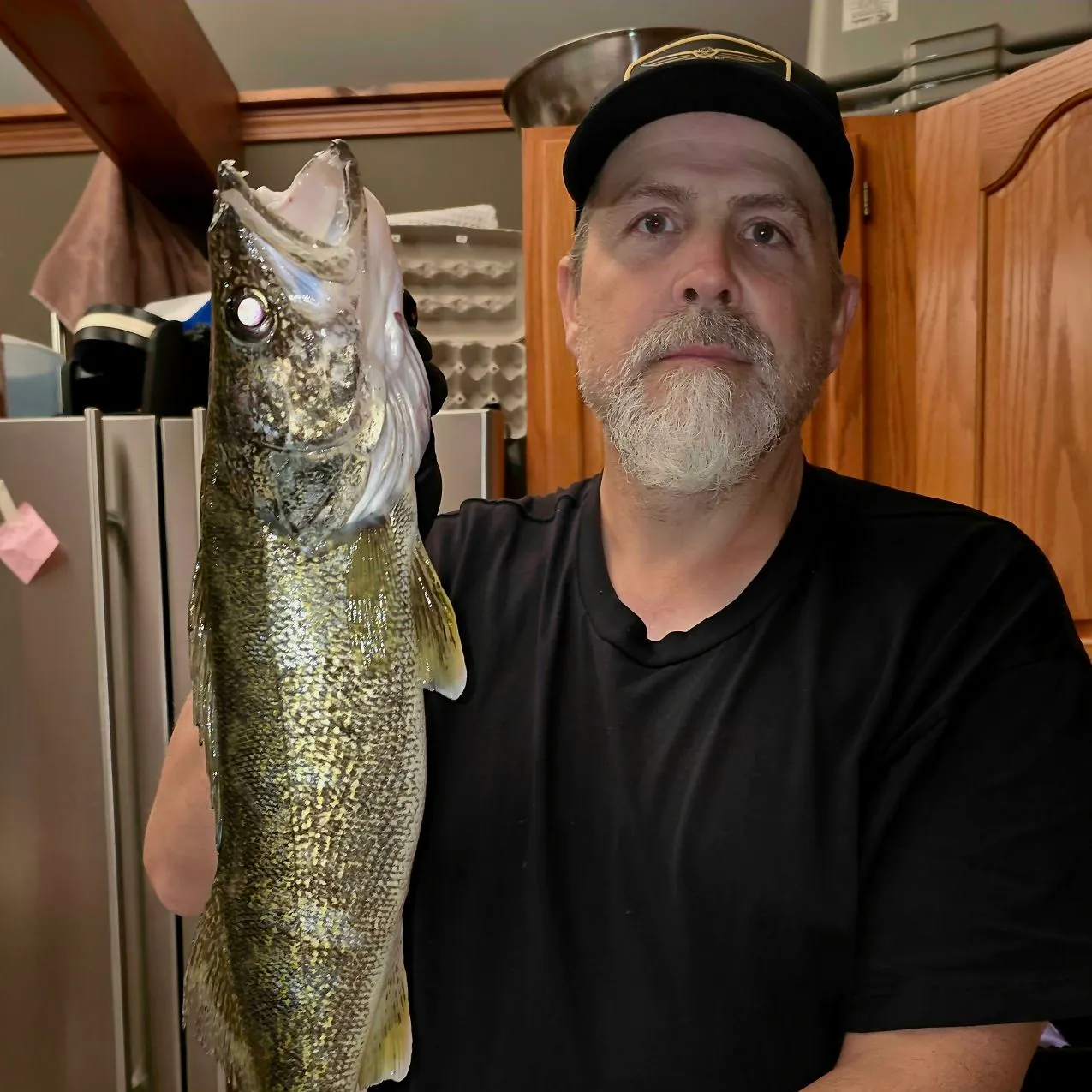 Walleye caught on Fishbrain