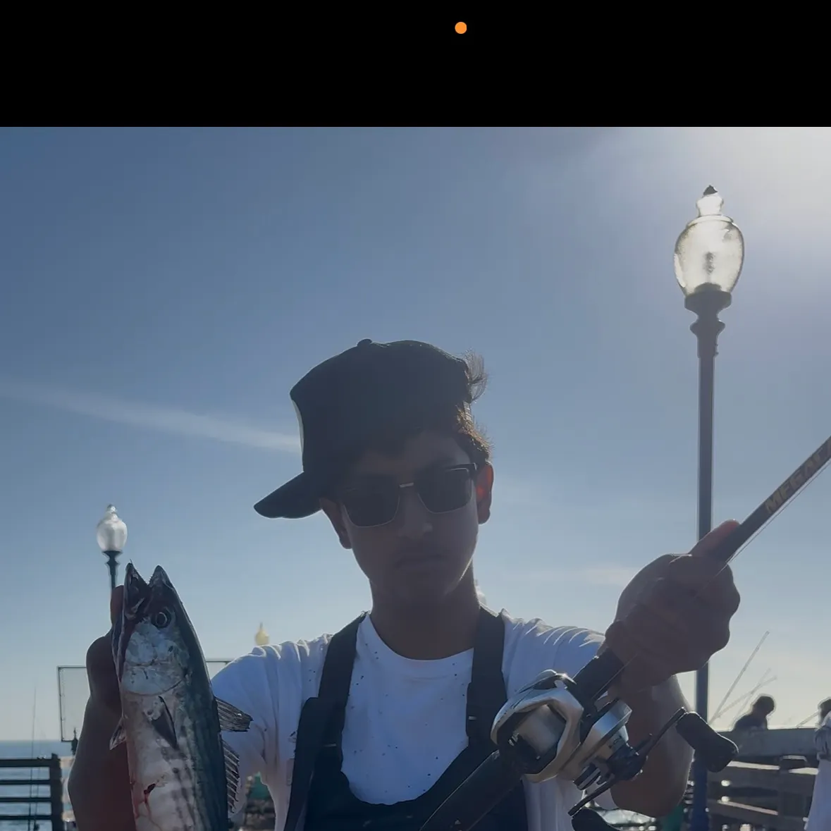 Pacific bonito caught on Fishbrain