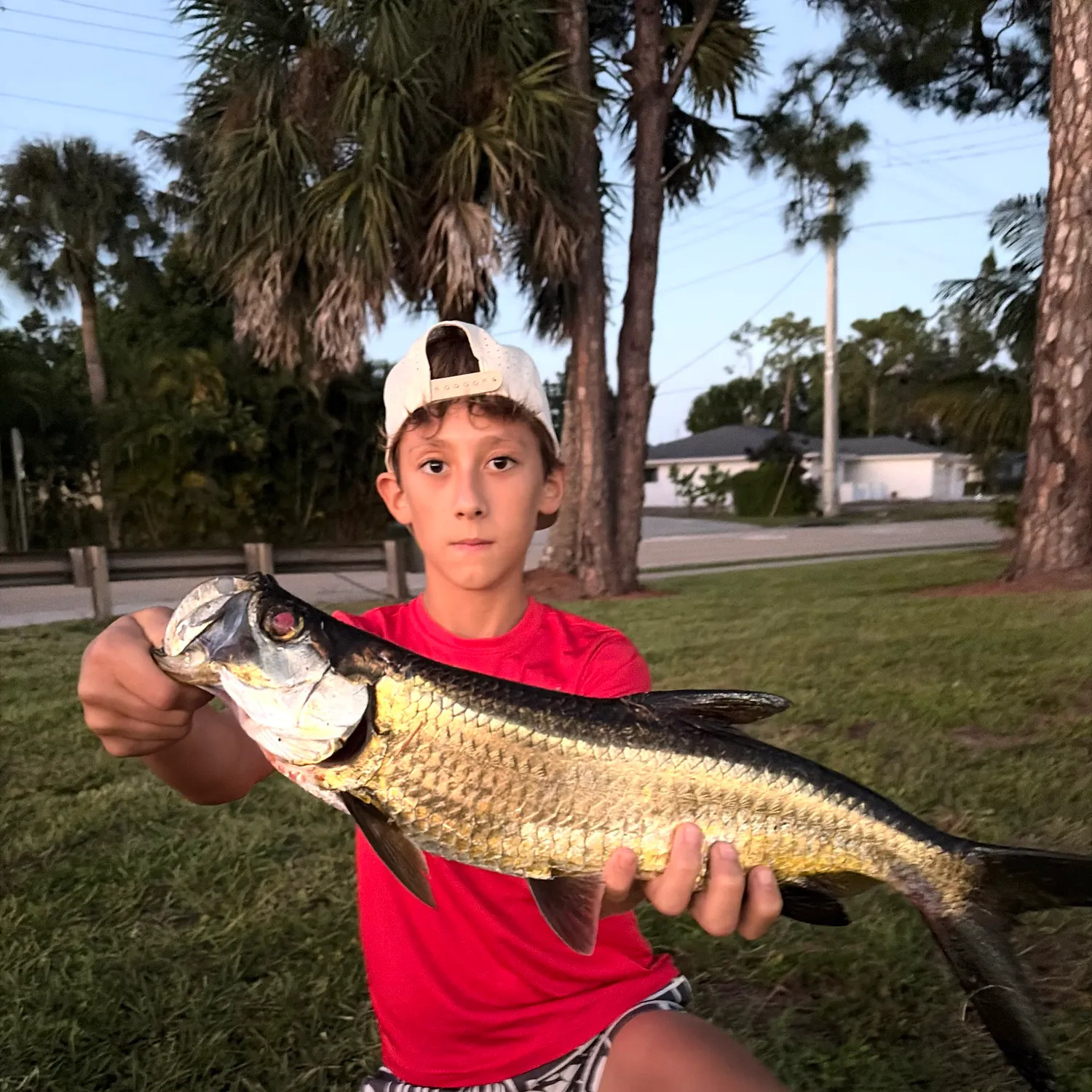 Tarpon caught on Fishbrain