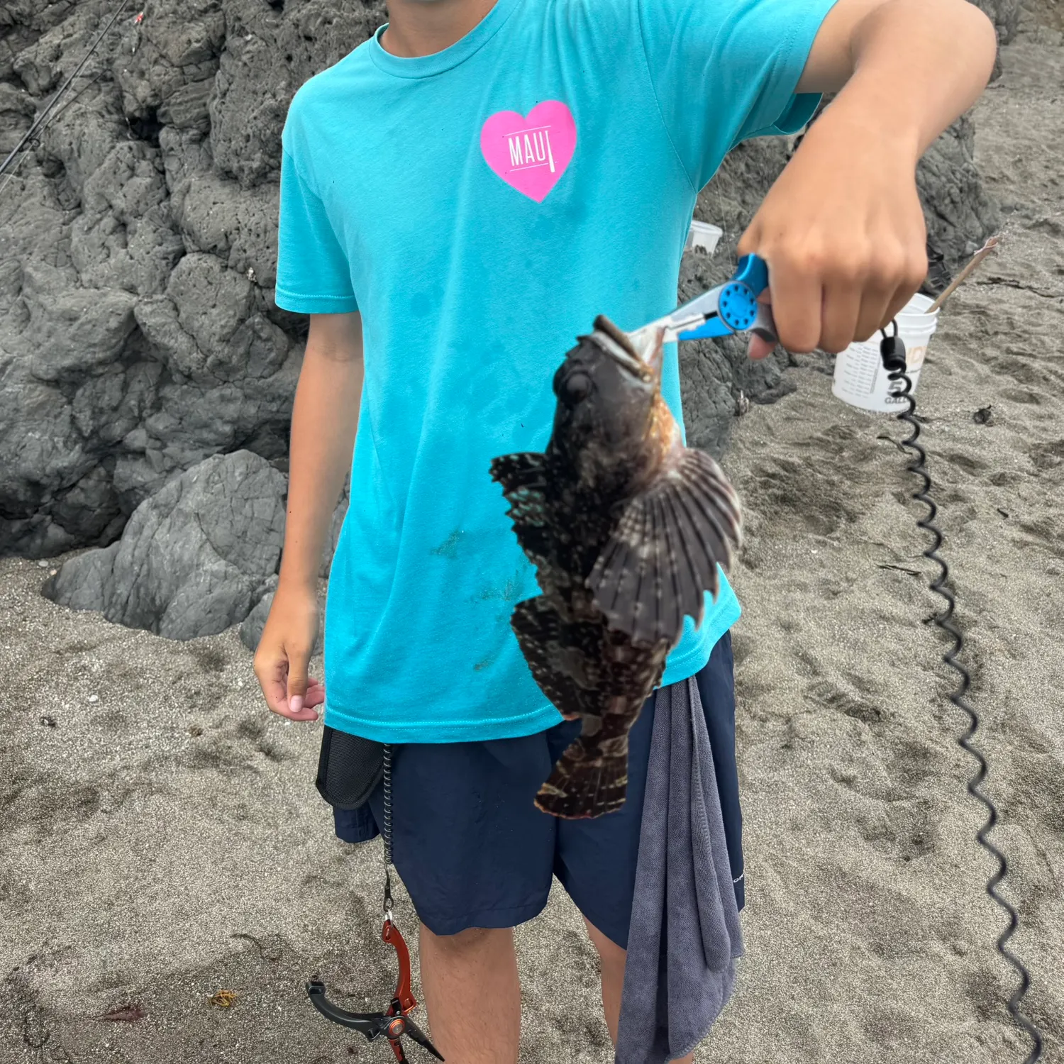 The most recent Kelp rockfish catches on Fishbrain