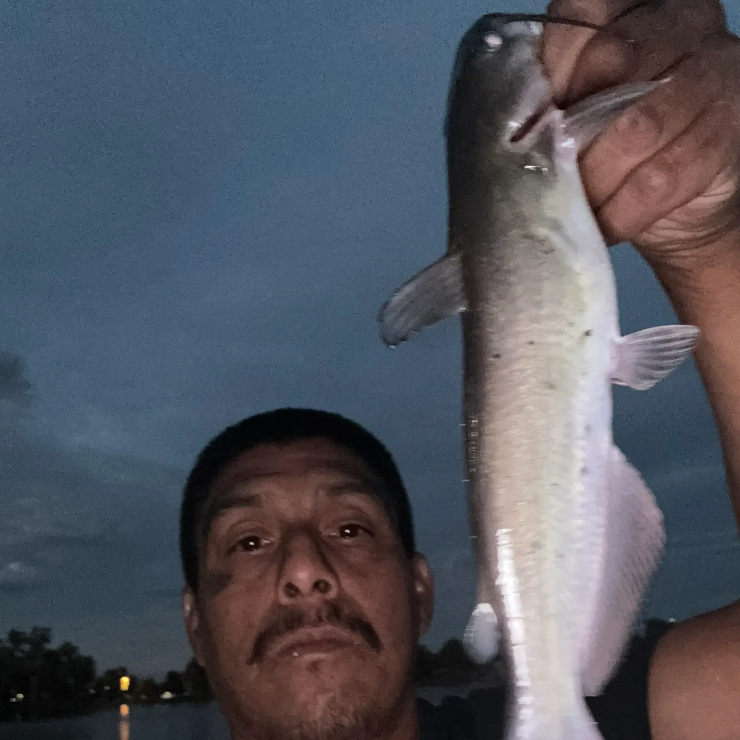Channel catfish caught on Fishbrain