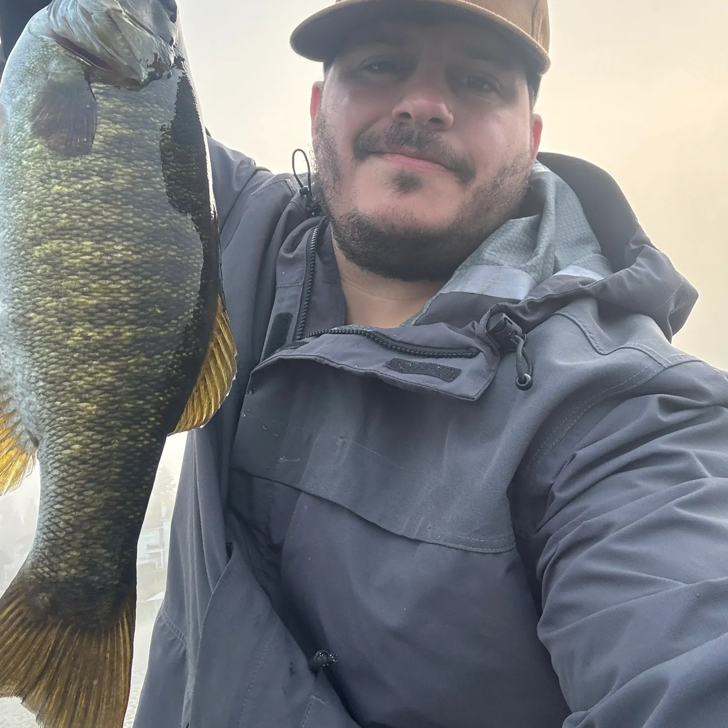 Smallmouth bass caught on Fishbrain