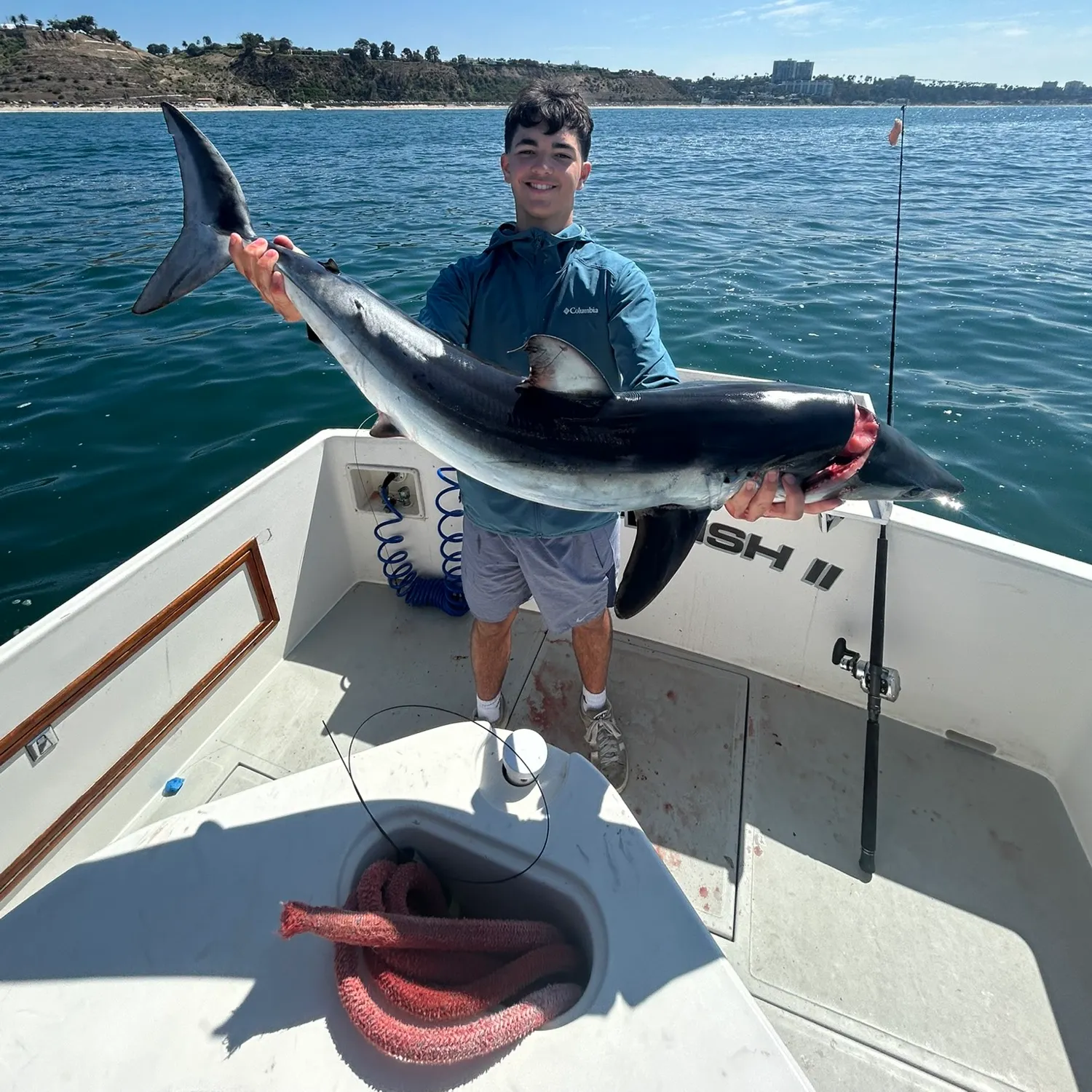 The most recent Shortfin mako shark catches on Fishbrain