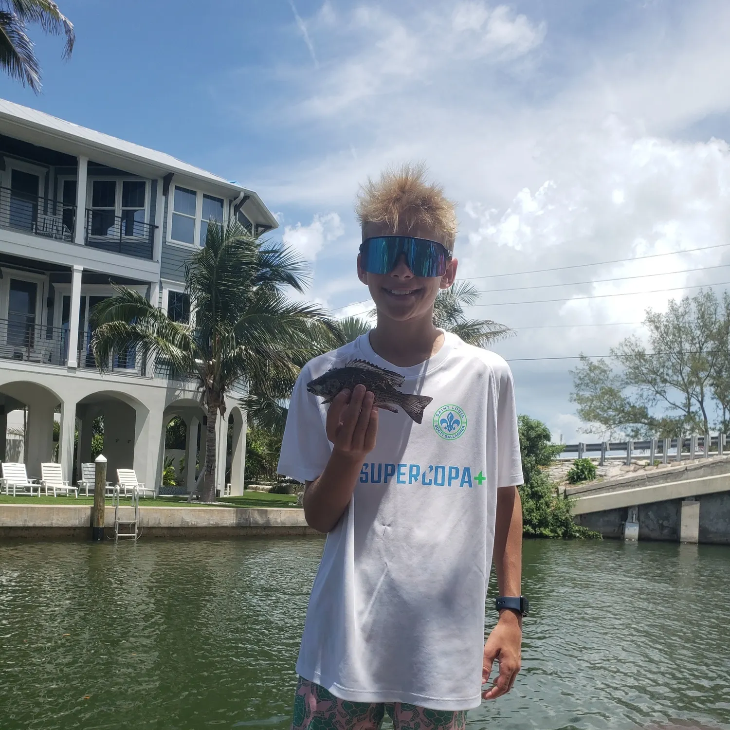 The most recent Cubera snapper catches on Fishbrain