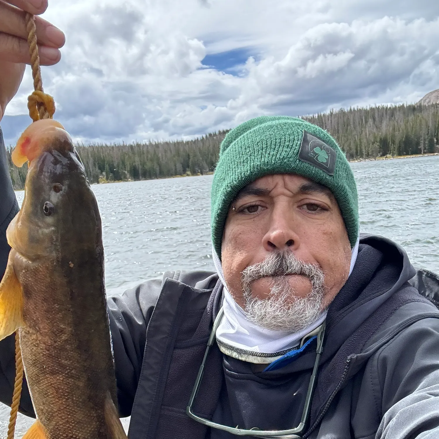 White sucker caught on Fishbrain