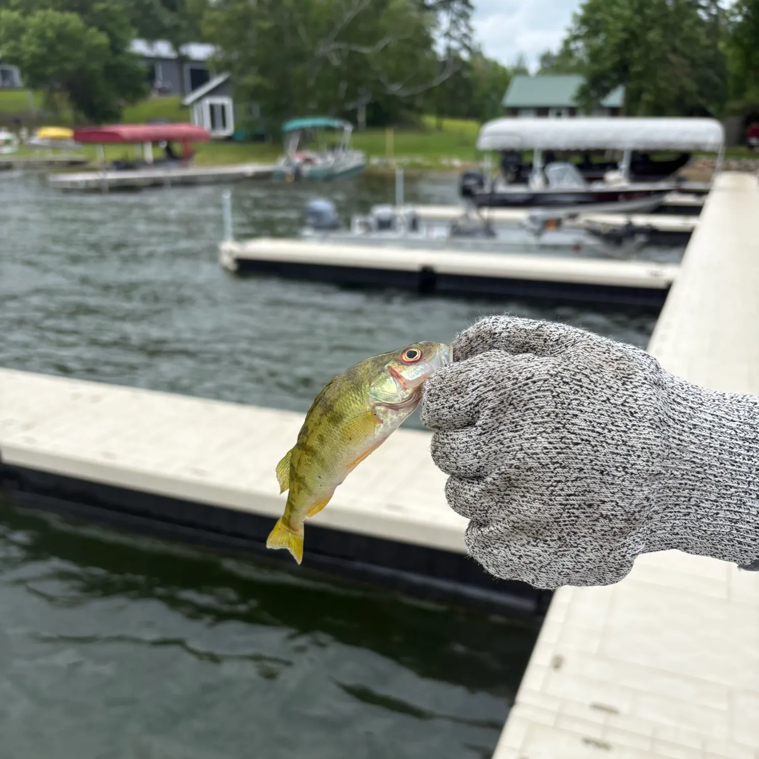 catch