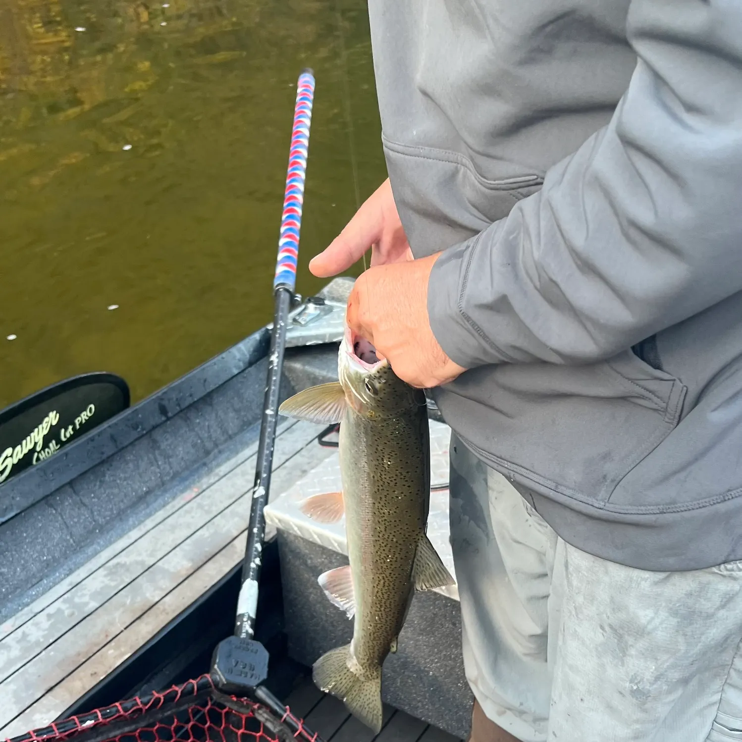 Steelhead caught on Fishbrain