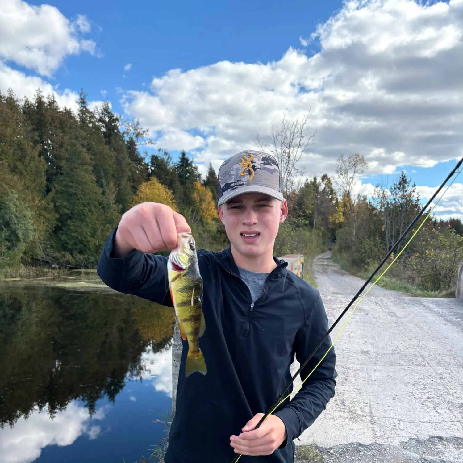 Yellow perch caught on Fishbrain